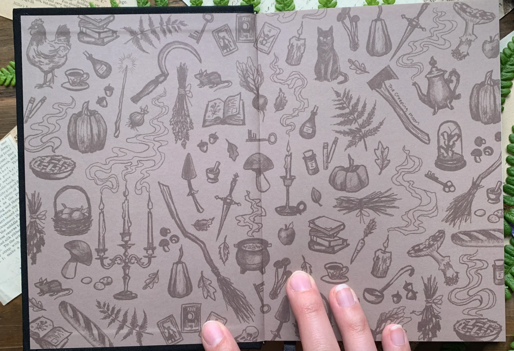Thumbnail 5